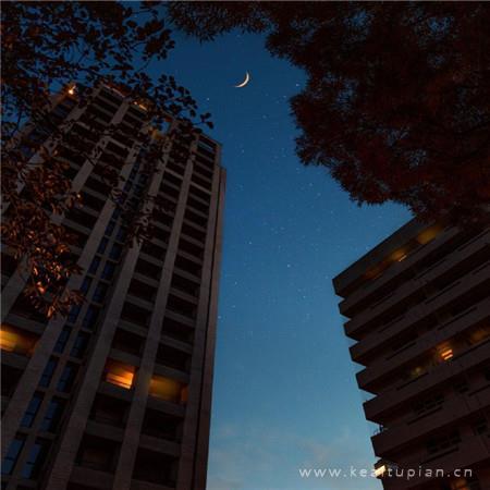 2021散落人间的温柔的暖心背景素材 人间值得的又一刻图片