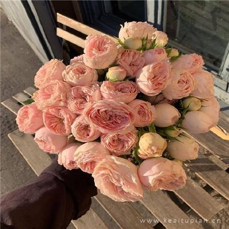 2021专属唯美好看的浪漫花束图片