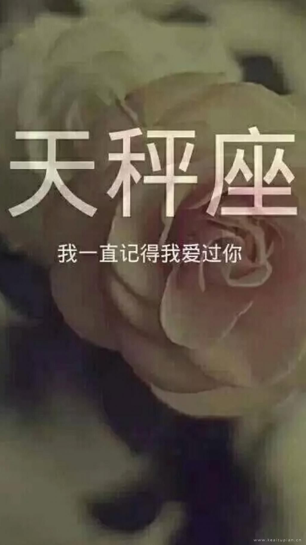 灰暗的玫瑰天秤座问就是爱过文字图片