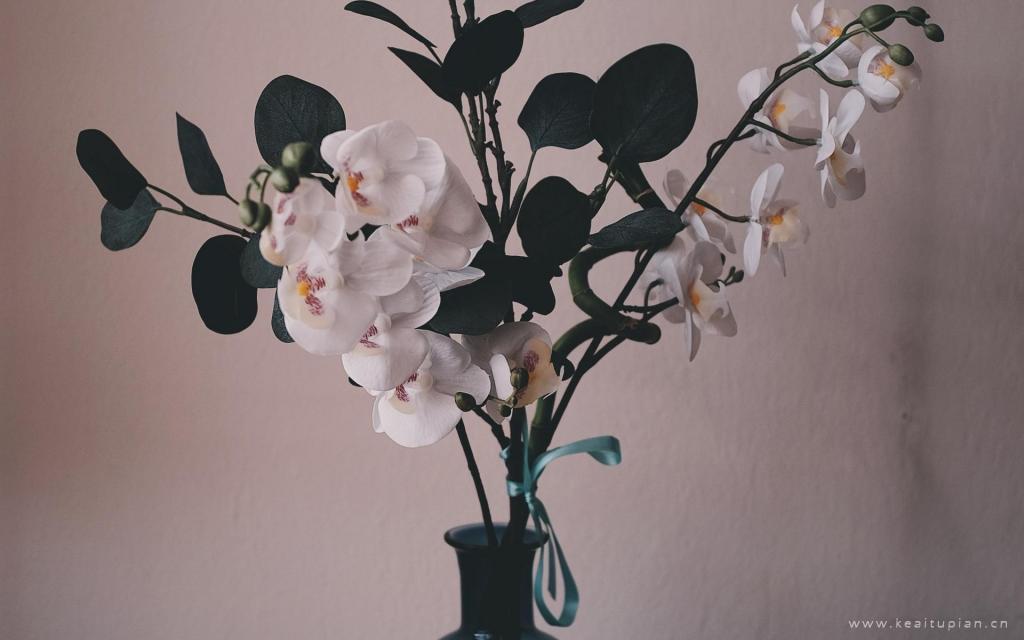 花瓶中的精美花束唯美养眼桌面壁纸图片