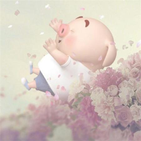 超可爱的猪猪卡通微信头像朋友圈背景图图片