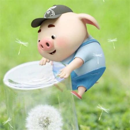 超可爱的猪猪卡通微信头像朋友圈背景图图片