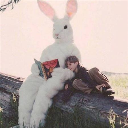 可爱少女心微信朋友圈背景图 花开的季节哪里都很美图片