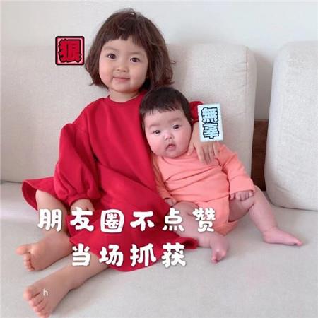 超可爱小罗熙搞笑表情包人气带字配图高清图片