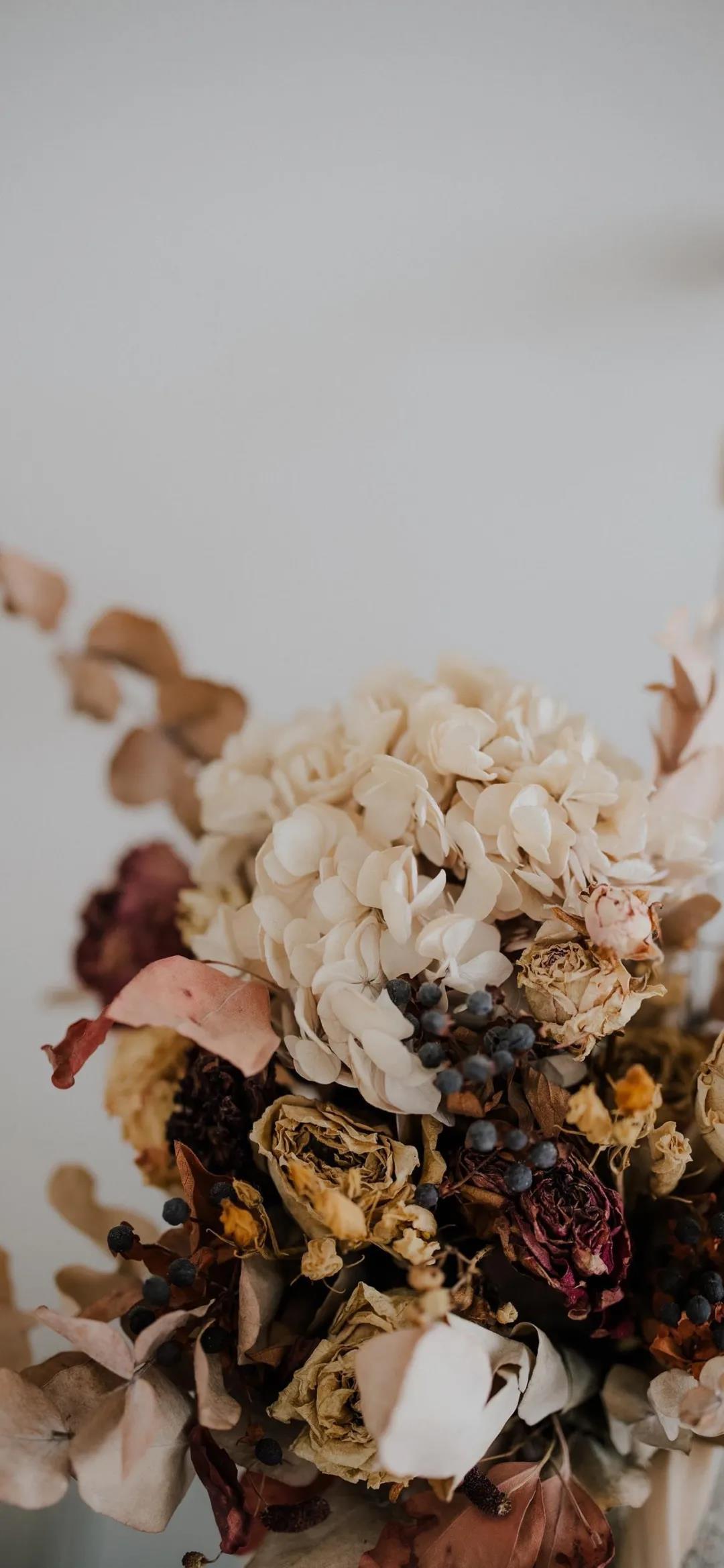 盛放到枯萎的花卉唯美清新手机壁纸图片