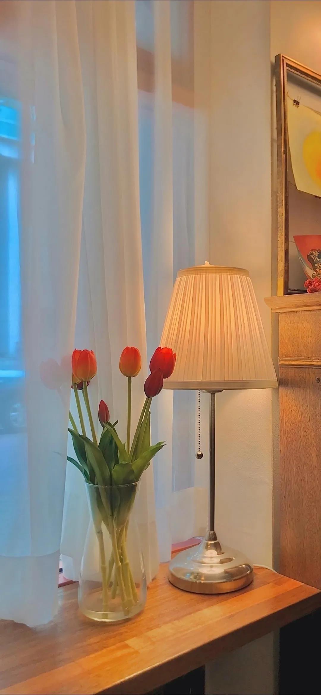 盛放到枯萎的花卉唯美清新手机壁纸图片