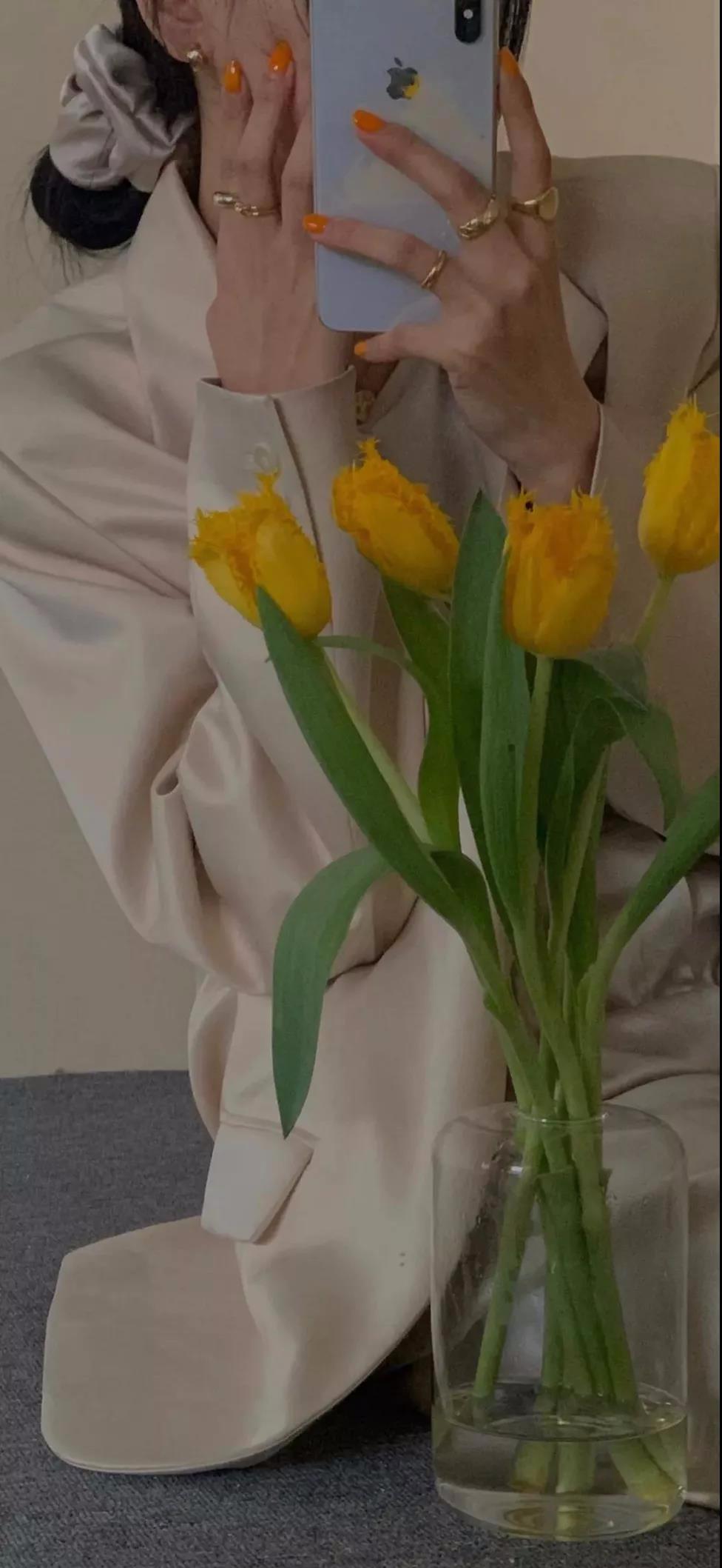 每天都有好心情黄色花朵唯美高清手机壁纸图片