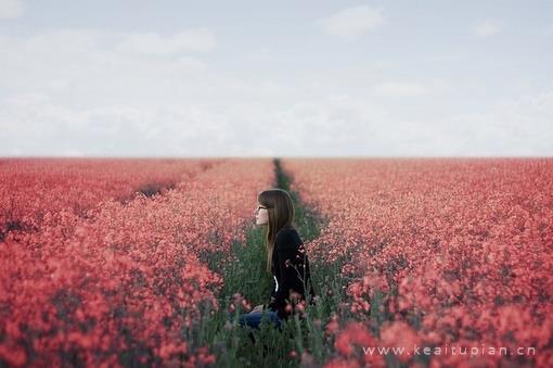 小清新风景唯美花开风景壁纸图片