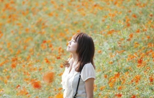 小清新风景唯美花开风景壁纸图片