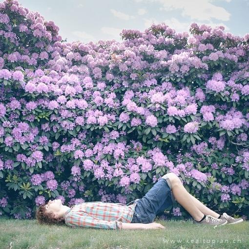 小清新风景唯美花开风景壁纸图片