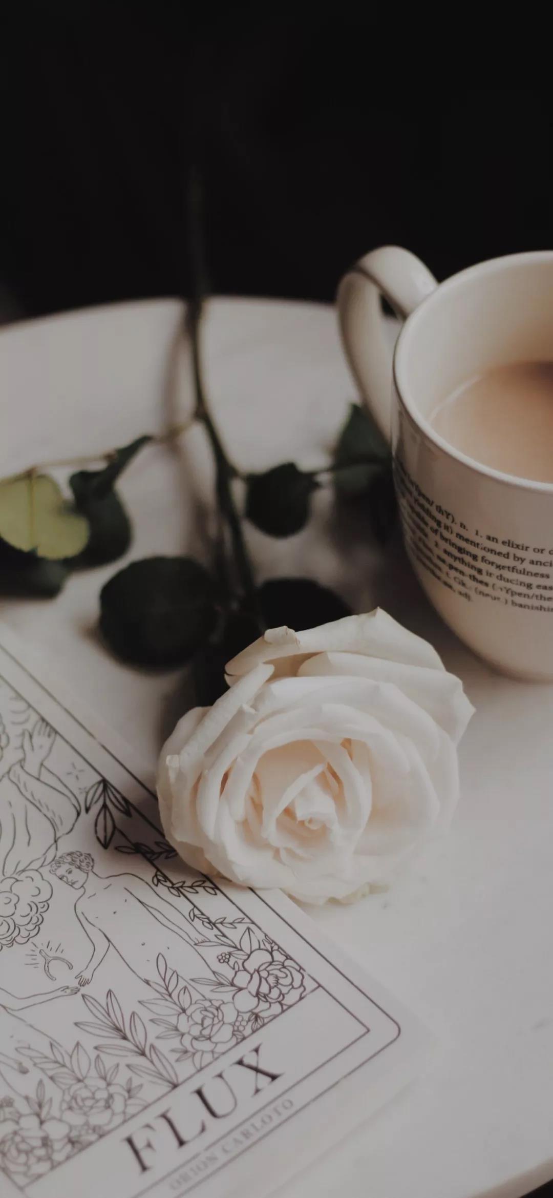 短暂美丽的花朵唯美高清手机壁纸图片