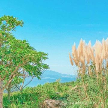 小清新秋意唯美风景头像图片大全