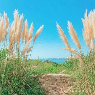 小清新秋意唯美风景头像图片大全