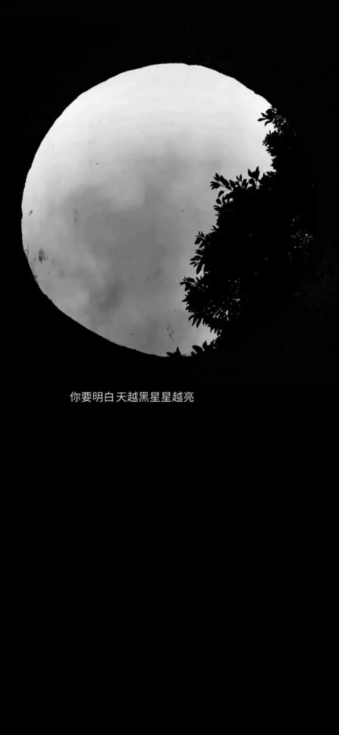 八月十五的月亮又圆又亮高清唯美夜景手机壁纸图片