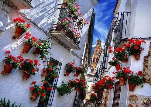 种满花草的唯美小镇高清风景壁纸美图大全