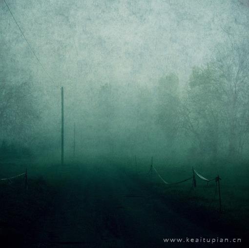 森林隐于雾中的唯美风景壁纸图片大全