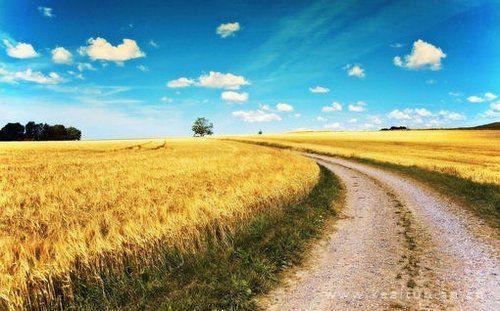 前方道路通透唯美风景壁纸图片大全