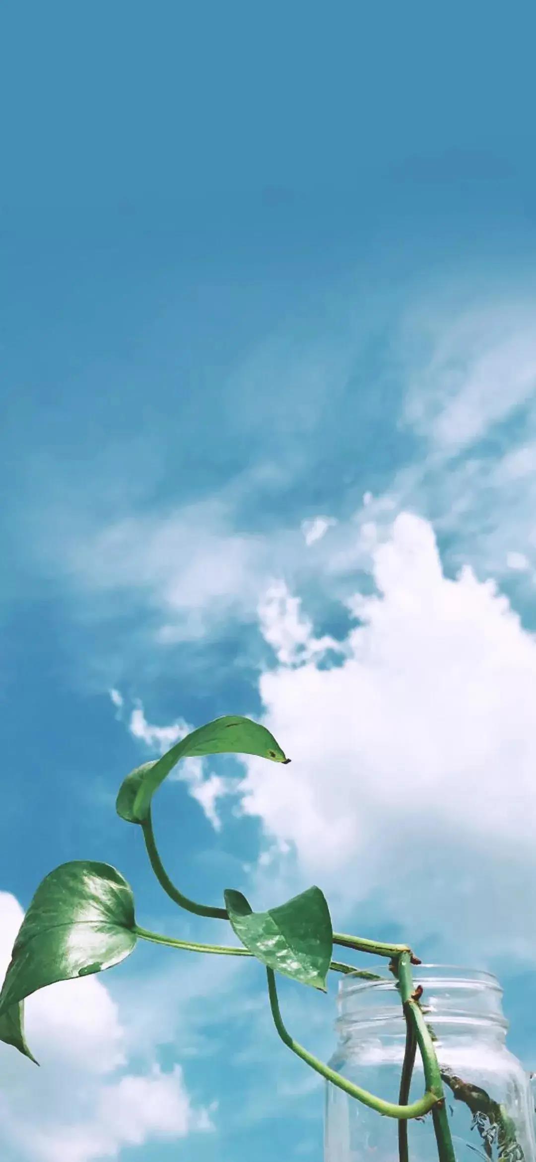 唯美蓝色天空清新治愈手机壁纸图片