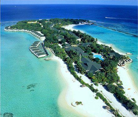 漂亮和你一起邂逅在这漂亮的海洋里永不分离图片