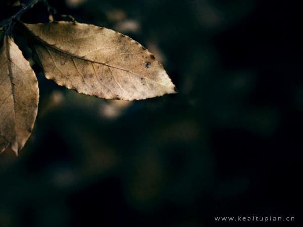 好看的人生为自己而活，梦想与阳光都在自己手上图片