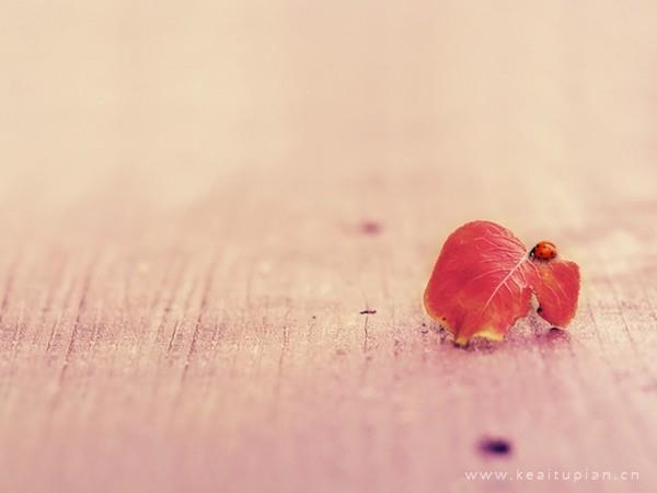 好看的人生为自己而活，梦想与阳光都在自己手上图片