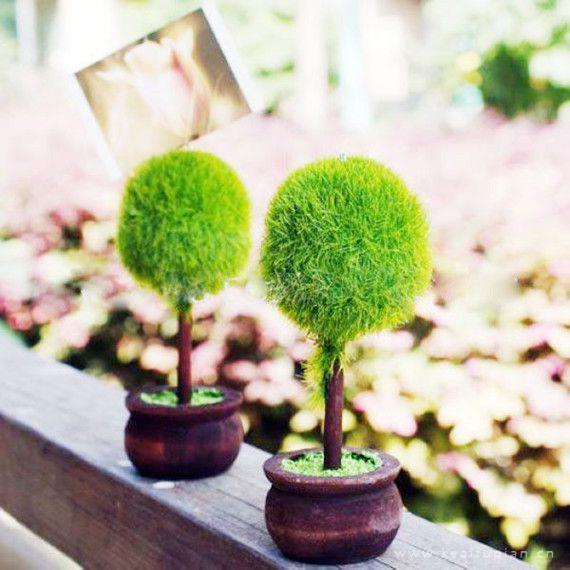 超美不要让污染把的绿色都带走了图片