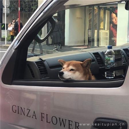 超好看好看不单调生活素材合集 有人终生怀念某一年的夏天图片