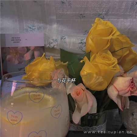 漂亮带字好看个性生活素材 总有人怀恋某个夏天图片