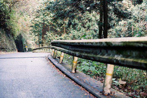国外拍下的唯美小清新街边风景壁纸图片