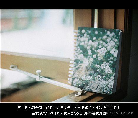 安静唯美的小清新风景高清壁纸图片