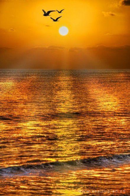 夕阳下表白的唯美好看壁纸图片