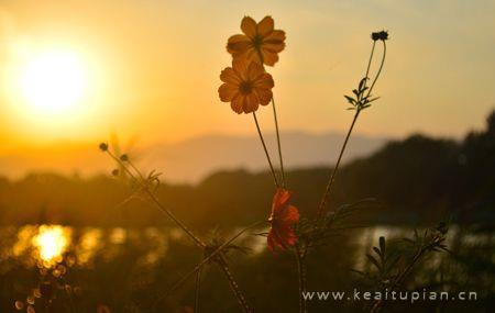 好看最后的光芒夕阳的见证图片