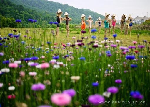 穿上学士服一起告别校园的点点滴滴图片