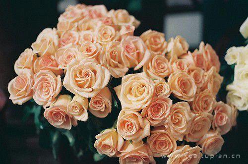 用汗水灌溉生活让生命像鲜花一样绽放图片