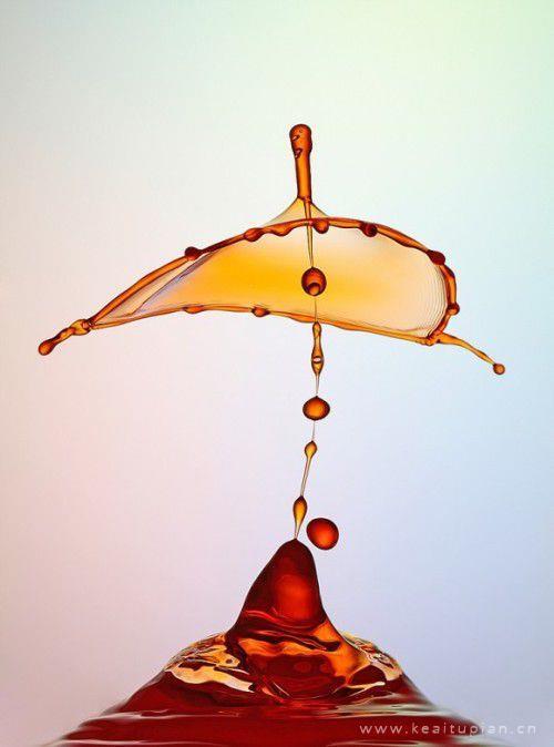 好看的一滴水溅出了它最骄傲的美丽图片