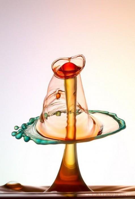 好看的一滴水溅出了它最骄傲的美丽图片