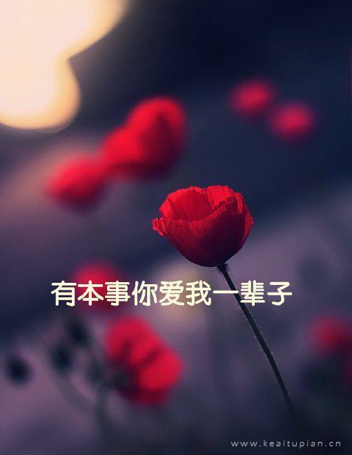 漂亮一辈子只爱一个人爱上了就没法分手图片