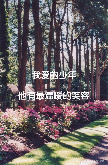 漂亮一辈子只爱一个人爱上了就没法分手图片