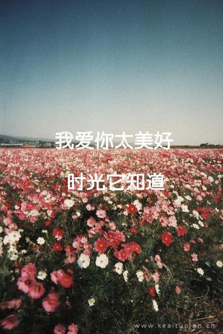 漂亮一辈子只爱一个人爱上了就没法分手图片