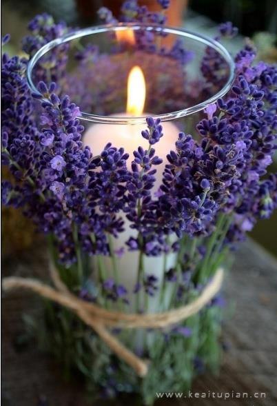 最新清新淡雅美丽的花儿大图梦里的鲜花图片