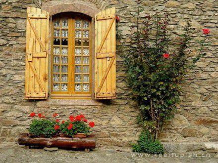 超美这些年鲜花长满了我们的房子图片