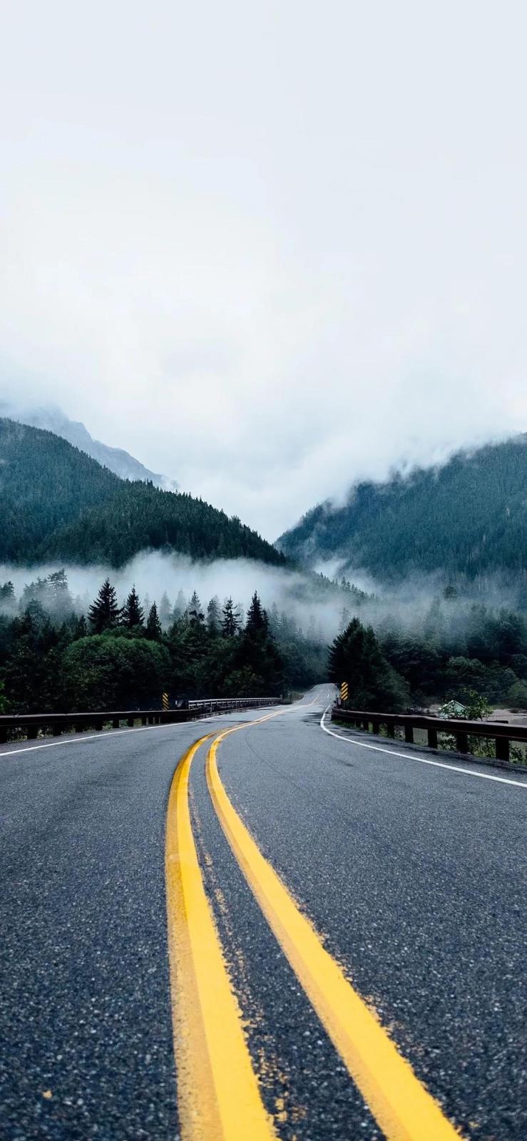 延伸到森林的公路唯美风景手机壁纸图片