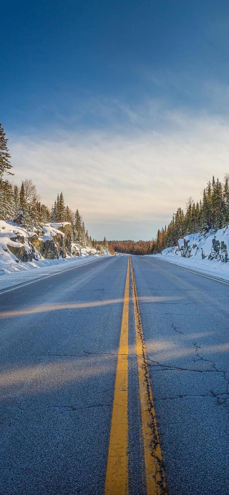 延伸到森林的公路唯美风景手机壁纸图片