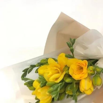 黄色花朵清新唯美亮眼朋友圈背景壁纸图片