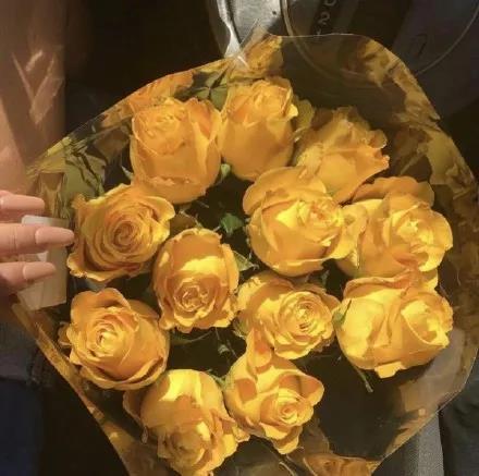 黄色花朵清新唯美亮眼朋友圈背景壁纸图片