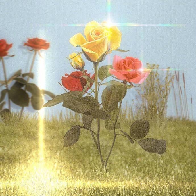 超仙唯美浪漫图片大全