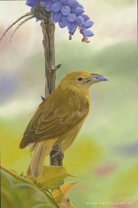 最新油画上展翅翱翔的幸福小鸟图片