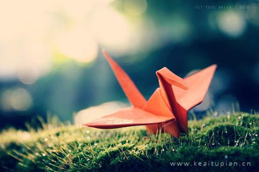 好看的的千纸鹤绽放自己特有的光芒图片