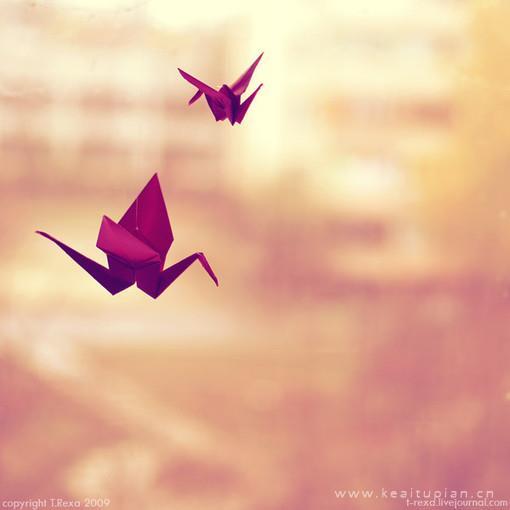 最新因为爱你所以送给你我珍藏的千纸鹤图片