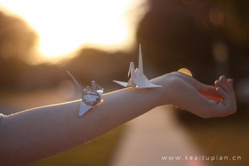 唯美用心折千纸鹤能给爱的人带来幸福与好运图片